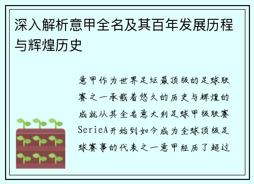 深入解析意甲全名及其百年发展历程与辉煌历史