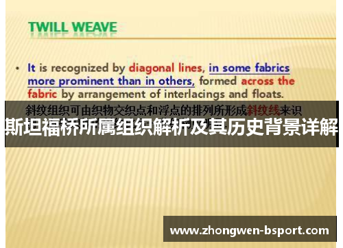 斯坦福桥所属组织解析及其历史背景详解